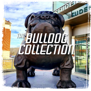 The BULLDOG Collection